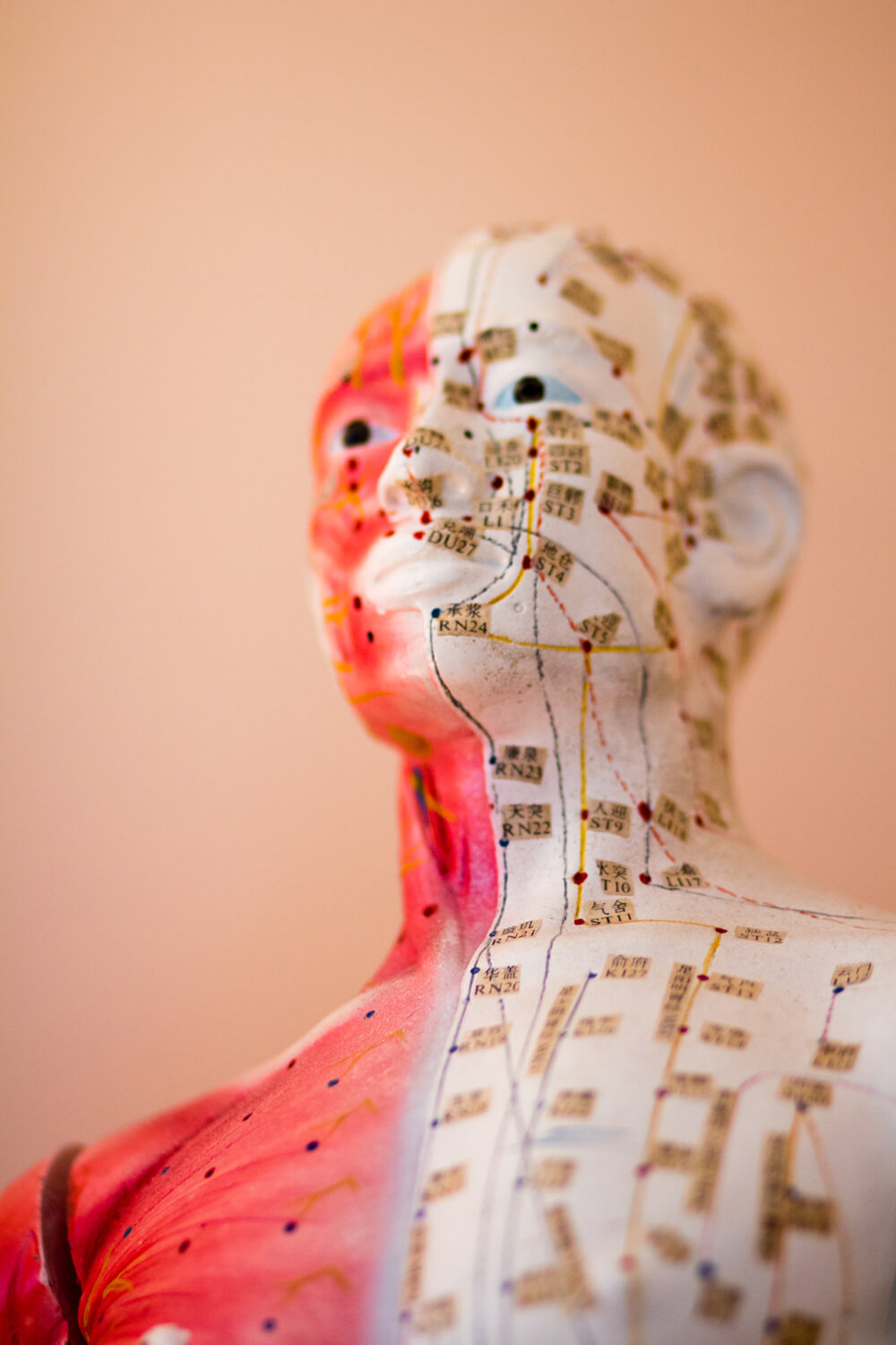 Research Update – Acupuncture and the Gallbladder » Professional ...