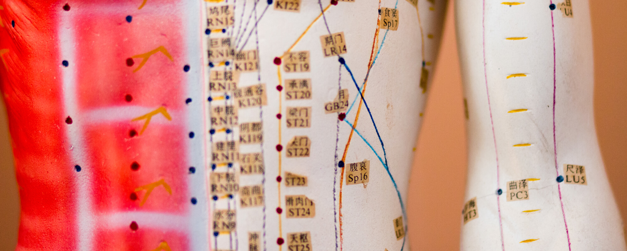 What Is Acupuncture? » Professional Acupuncture & Physical Therapy