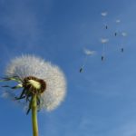 Five Reasons to Get Acupuncture for Allergies