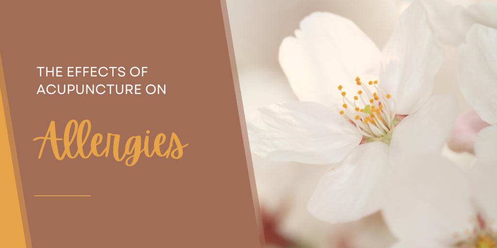 The Effects of Acupuncture on Allergies » Professional Acupuncture